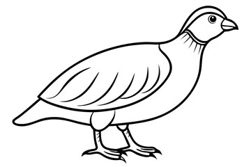 quail line art silhouette vector illustration