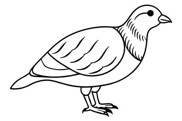 quail line art silhouette vector illustration