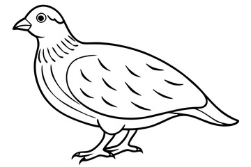 quail line art silhouette vector illustration