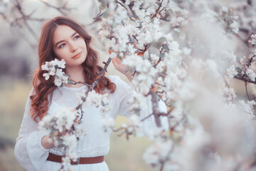 springtime fashion portrait of a young girl in a blooming cherry garden, tenderness of the morning