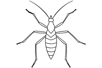 stick bug line art silhouette vector illustration