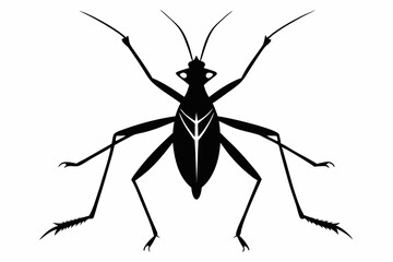 stick bug line art silhouette vector illustration