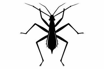 stick bug line art silhouette vector illustration