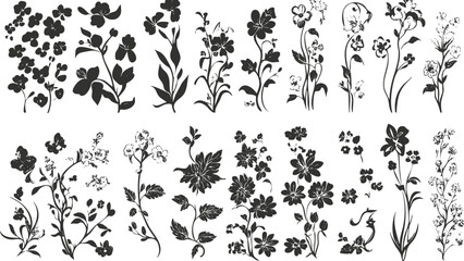 Silhouette collection of various wildflowers and plants in black and white