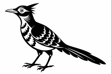 wryneck bird line art silhouette vector illustration