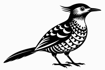 wryneck bird line art silhouette vector illustration