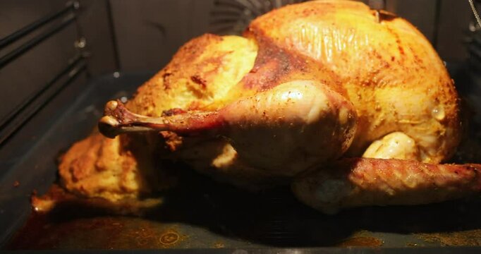 Golden-brown whole turkey roasting in an oven tray. The bird is seasoned and sizzling, with juices pooling underneath, creating a mouthwatering view perfect for holiday cooking scenes.