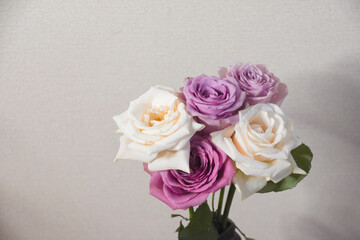 カラフルなバラ