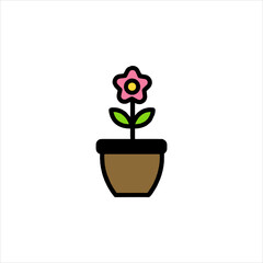 flower in a pot