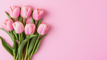 Vibrant bouquet of pink tulips on pastel background