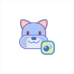 cat and mouse