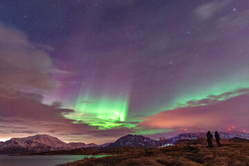 Beautiful Aurora Borealis over the island of Kvaløya, dancing northern lights with clear colorful rays of green light in the sky with red and purple strikes! people with amazing joy in Norway