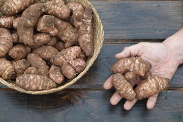 man's hand with topinambur crop, basket with harvested jerusalem artichoke