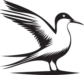 Fototapeta premium Tern silhouette vector image illustration 