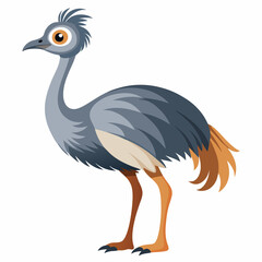 grey crowned crane isolated on Transparent background
