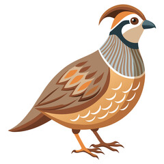 Cartoon vector illustrations of a bird and chicken with fun, cute, and funny details