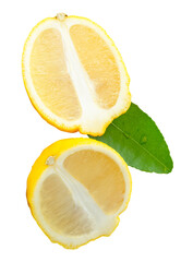 Front view of ripe yellow lemon fruit or slices in two ellipse or oval halves with green leaf...