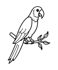 Parrot 