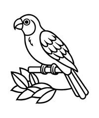 Parrot 