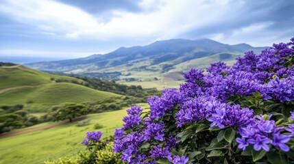 Obraz premium Vibrant purple flowers in lush green landscape, nature beauty, spring bloom, serene travel scenery