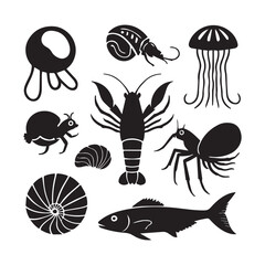 The ocean is filled with some of the most extraordinary and mysterious creatures, each with unique adaptations that help them thrive in their underwater world. The Mantis Shrimp.