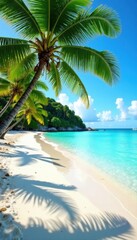 Fototapeta premium Beach with palm trees and crystal clear water, island life, beach vacation