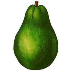 Fresh Green Avocado Illustration Healthy Fruit, Delicious Recipe Ingredient