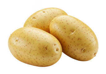 A close up view of three yukon gold potatoes arranged 