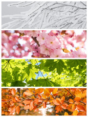 Four seasons, collage. Beautiful photos of nature during spring, summer, fall and winter