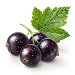 black currant isolated on white background