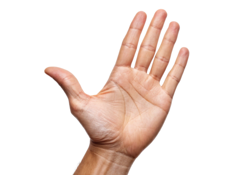 Human hand. Spreading the hands. Palm reading. Greeting.