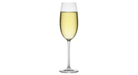 Isolated Champagne Glass with Bubbles