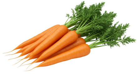 Isolated Bunch of Carrots