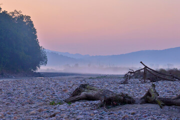 Fototapeta premium A misty dawn scenic at the Jim Corbett National Park, Uttarakhand, India.