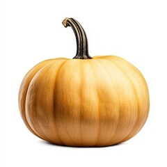 Organic Orange Pumpkins: Seasonal Autumn Harvest for Halloween & Thanksgiving Décor