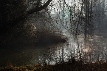 Mglisty poranek w Pszczynie, marzec 2025. © Elżbieta Kaps