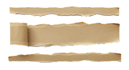 Fototapeta premium Browen torn paper on transparent background