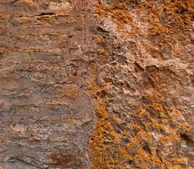 Wooden texture for background. Perfect as an organic background for nature themes, rustic design projects, material textures, environmental graphics, and forestry-related visual compositions