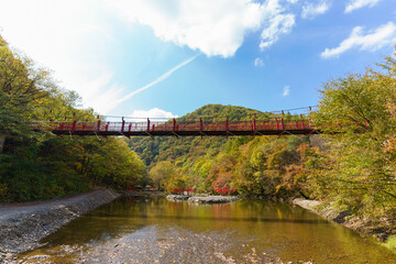 Fototapeta premium Various wooden bridges outdoors in Northeast China in autumn