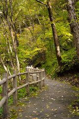 Various wooden bridges outdoors in Northeast China in autumn