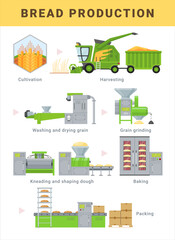 Bread production process steps infographic scheme poster design template vector flat