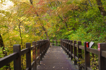 Various wooden bridges outdoors in Northeast China in autumn