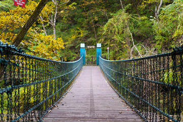 Obraz premium Various wooden bridges outdoors in Northeast China in autumn