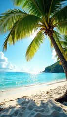 Fototapeta premium Palm trees on sandy beach with clear blue water, warm sun shining down, palm tree, film grain