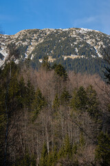 Obraz premium Rocky forested hillside with trees........