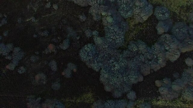 Aerial view of the Struie in the Scottish Highlands of northern Scotland UK 