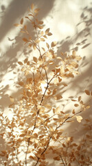 Naklejka premium A tree with leaves that are brown and yellow. The leaves are casting a shadow on the wall