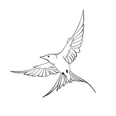 Elegant line art illustration silhouette of flying swallows, beautiful clip art collection of spring birds logo, outline hand drawn Sketch isolated on white background, freedom concept, nature theme