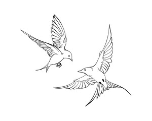 Set of line art illustration of flying swallows, elegant collection of spring birds, Outline Sketch isolated on white for postcard, freedom concept, nature theme, romantic mood, harmony state of mind