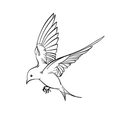 Elegant line art illustration silhouette of flying swallows, beautiful clip art collection of spring birds logo, outline hand drawn Sketch isolated on white background, freedom concept, nature theme